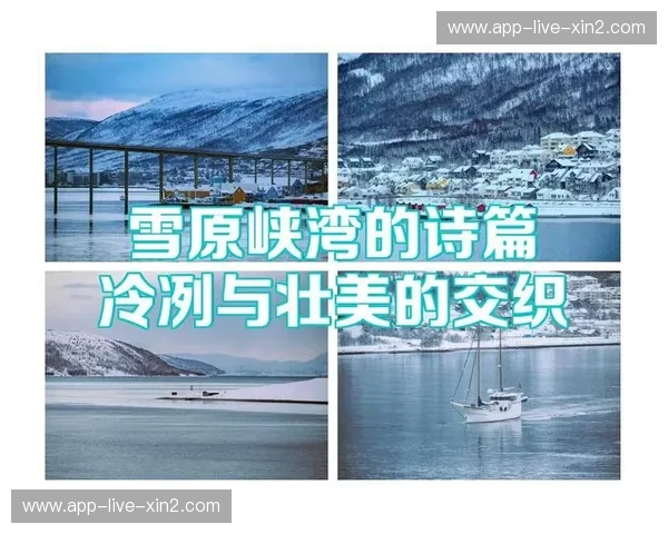 阿尔卑斯的回响与维京的传承：奥地利与瑞典，两种北欧与中欧的浪漫诗篇